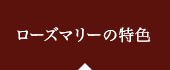 ローズマリーの特色